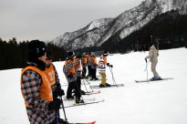 �����񍐎ʐ^