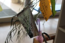 �����񍐎ʐ^